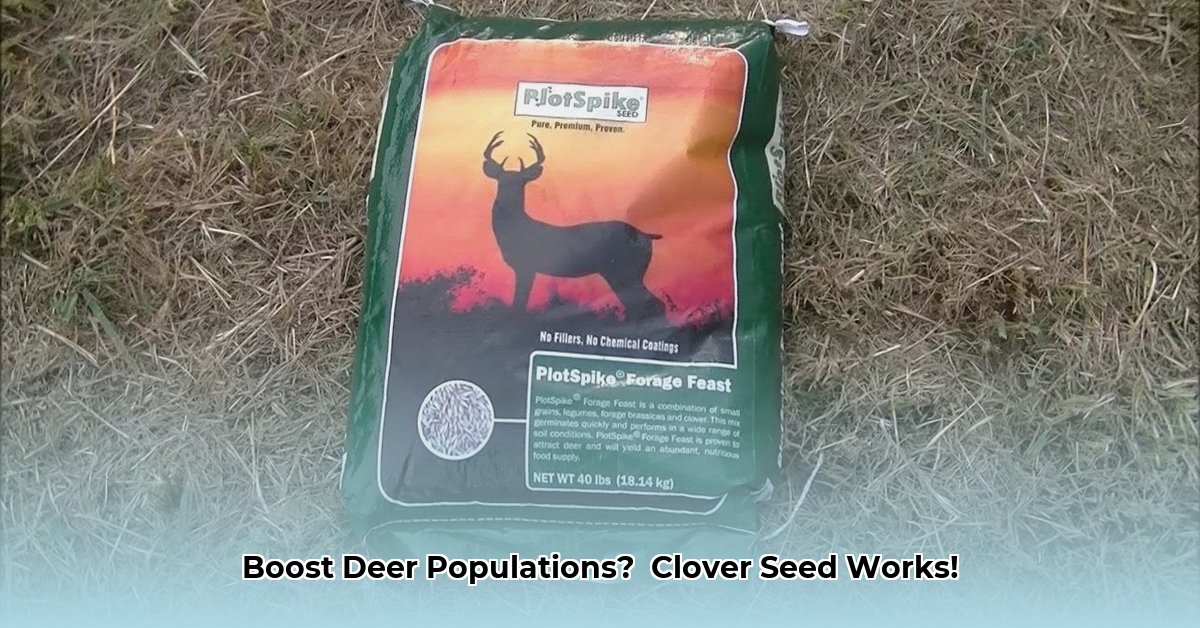 clover-seed-for-deer-tractor-supply